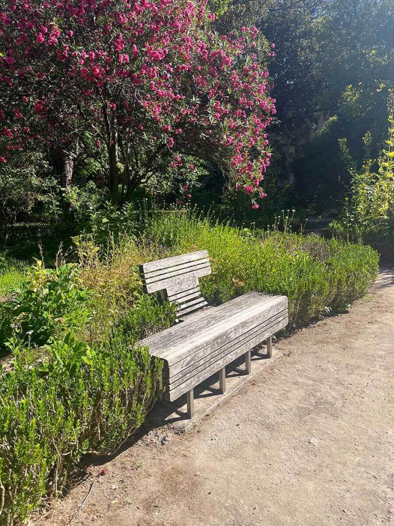 Jardim Botânico de Lisboa